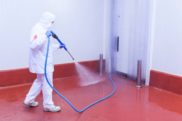 Best Soft Washing  in Shreve, OH